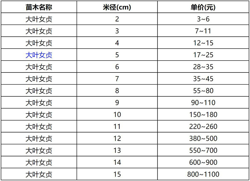 2022年春季大葉女貞報(bào)價(jià)表 2022年春季大葉女貞報(bào)價(jià)表